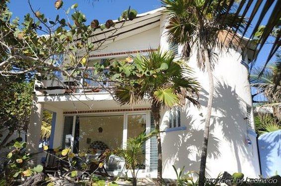 Las Ranitas Eco Boutique Hotel Tulum Bagian luar foto