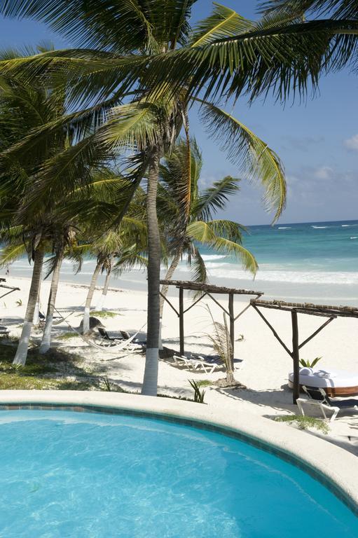 Las Ranitas Eco Boutique Hotel Tulum Ruang foto