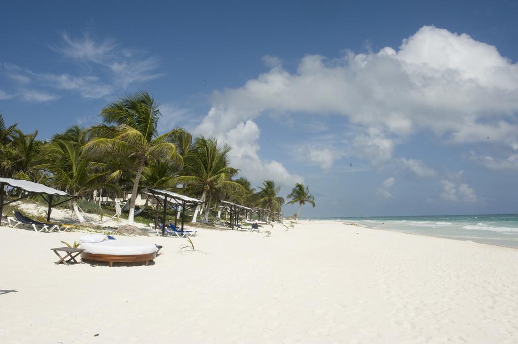 Las Ranitas Eco Boutique Hotel Tulum Ruang foto