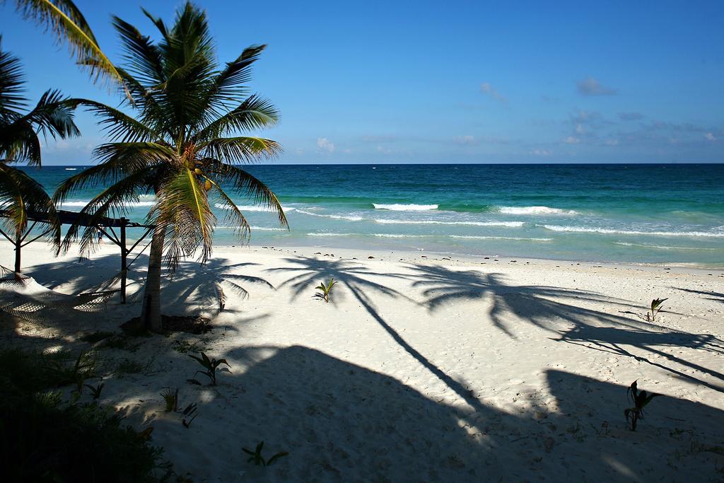 Las Ranitas Eco Boutique Hotel Tulum Bagian luar foto